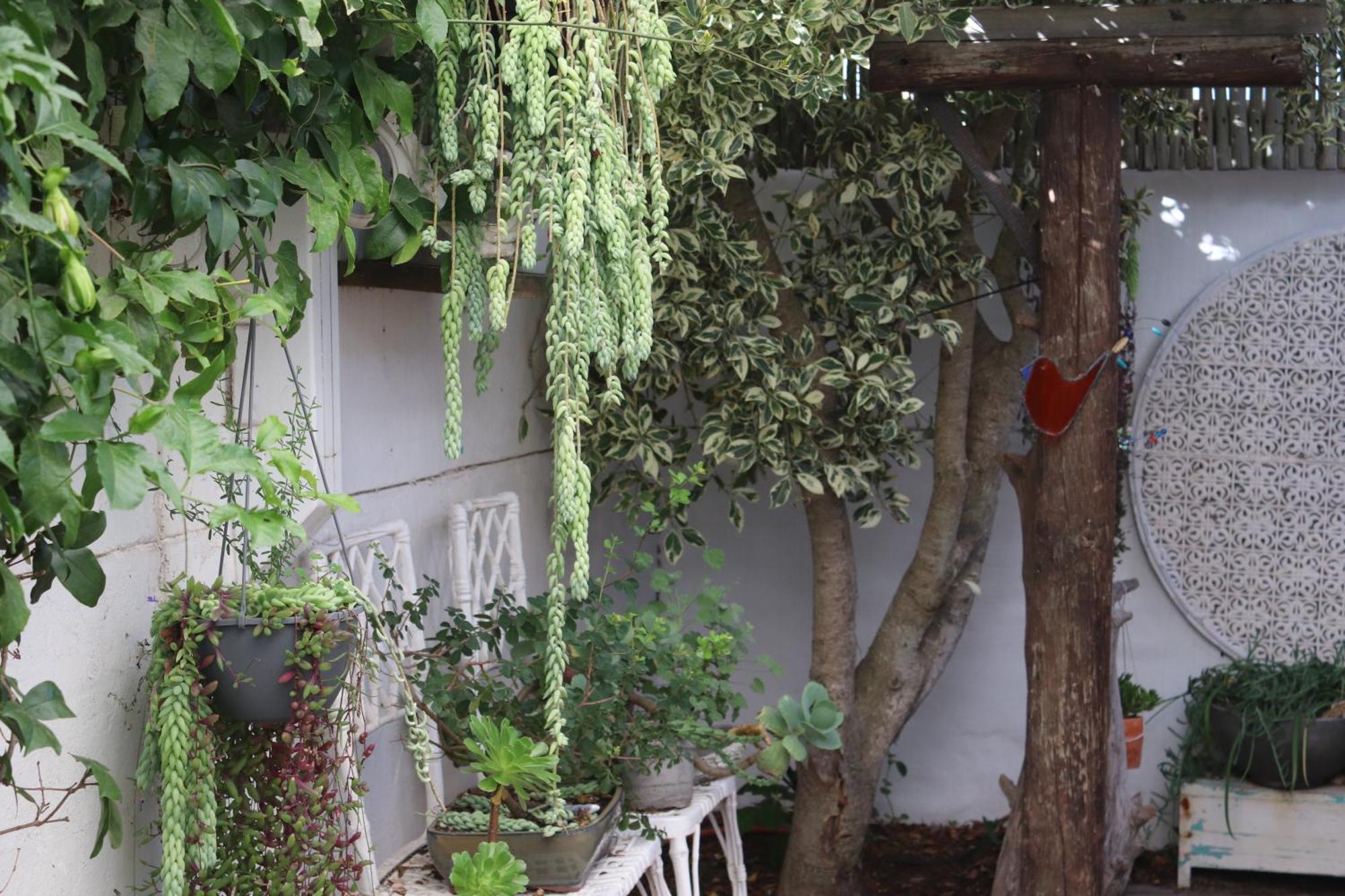 Gilcrest Place Guest House Paternoster Exterior foto